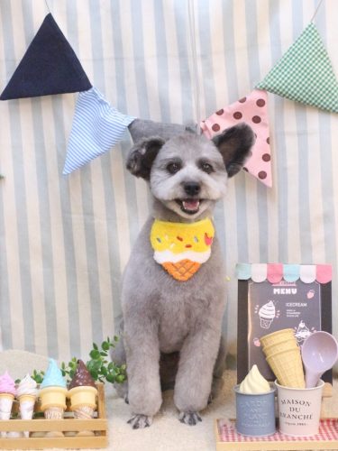 20250524シルヴァくん